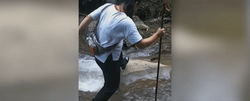 4113b97629b11f95deb36c82dd67af97_105012024030800011651.gif