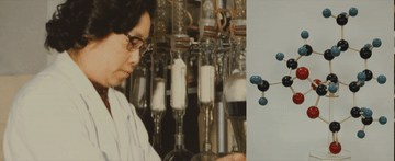 63318f94f1e2ced202aa1b7594fc2064_105012024030800011655.gif