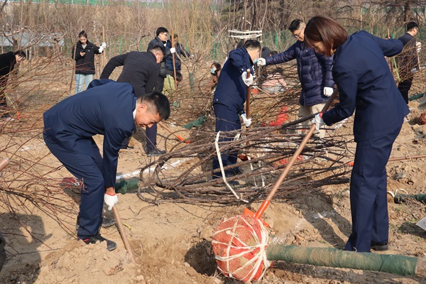 挖坑刨土.jpg