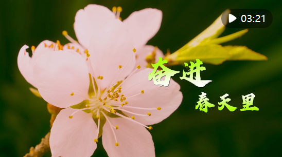e42f5ca57eefb5af46b73b74f6a03126.png image.png