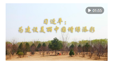 d022b61c4372eb390c5720452a319460.png image.png