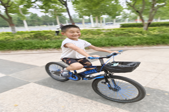 微信图片_20240723093153.png