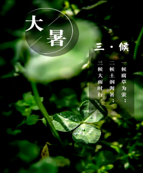 微信图片_20240723094456.png