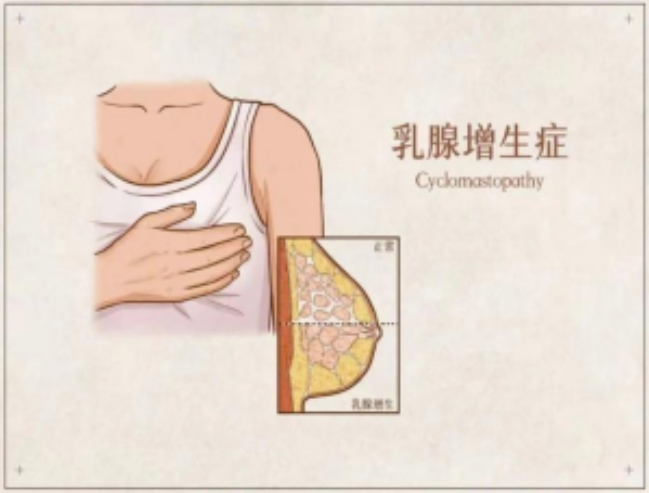 微信图片_20240828153136.png