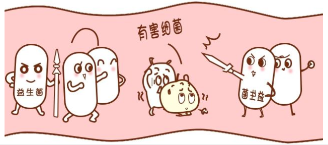 cbee945b2b37137045acd9459a73d2ea.png