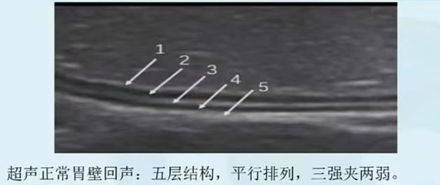 微信图片_20240903122841.jpg