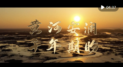 eb1f45e9e8386b4970cbeb30300c8864.png image.png