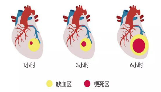 微信图片_20240929105732.png