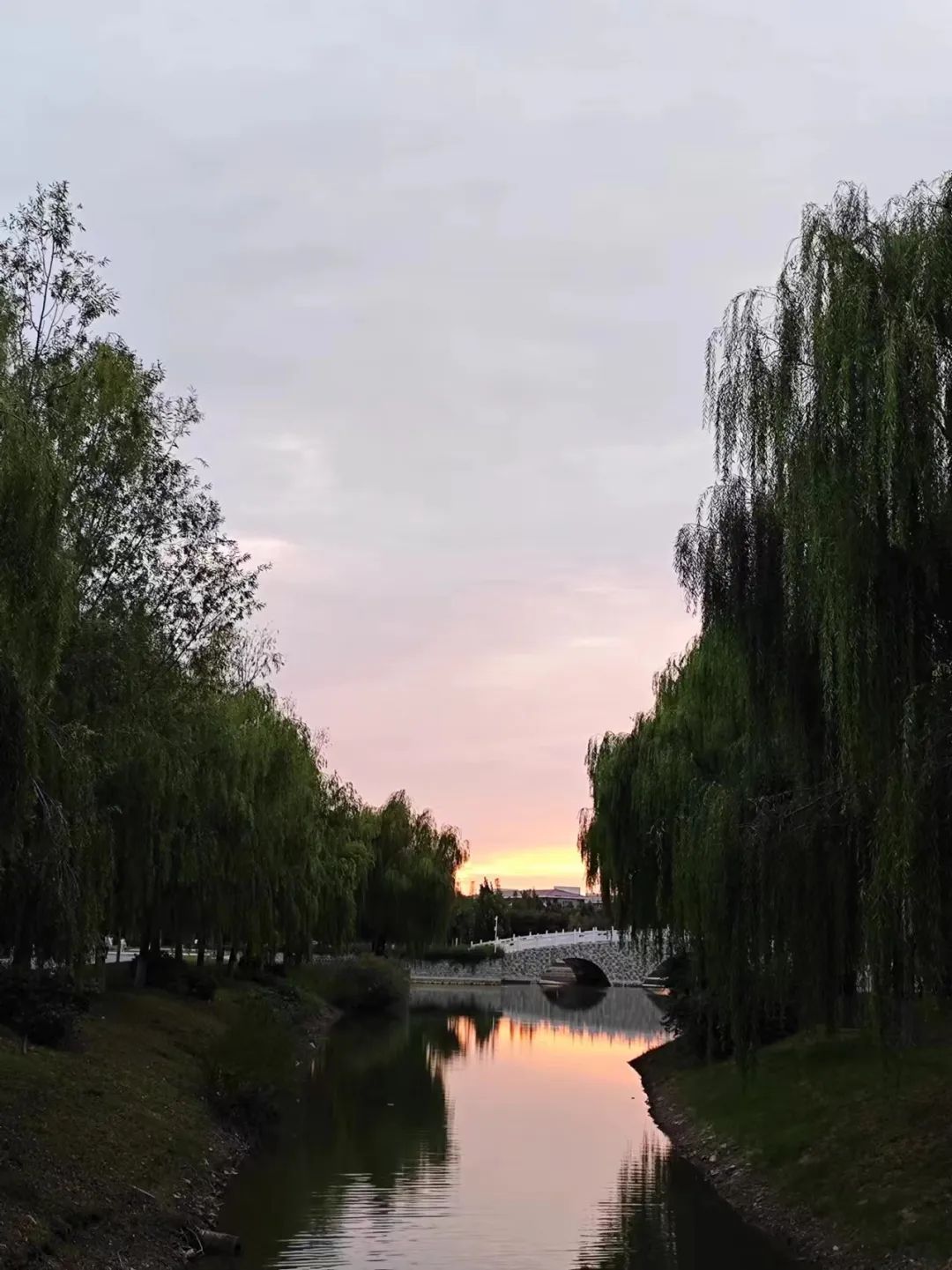 微信图片_20241001105101.jpg