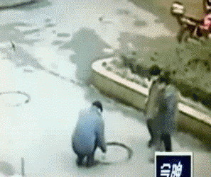 4.gif