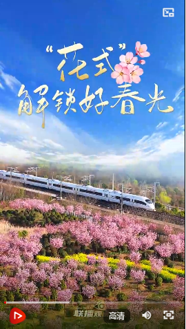 1746089033373.png