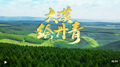 1755134029824.png