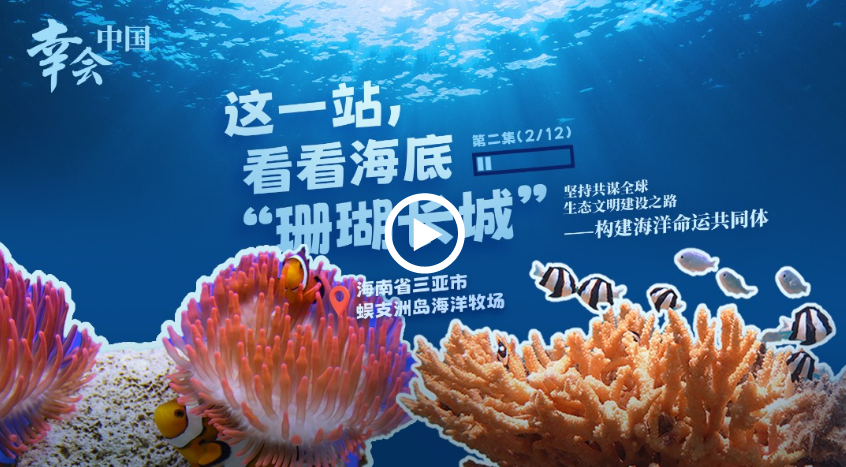 a585cf42-2d1c-43ad-a8a1-205470924e58.png