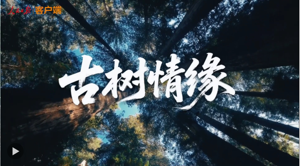 77eef8506a739a7181c5014bfbb23d86.png image.png