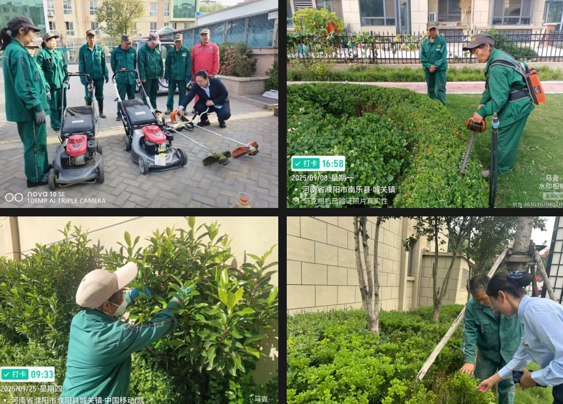 96812e976a481b5dfd52554c14ef29a4.png 6.png