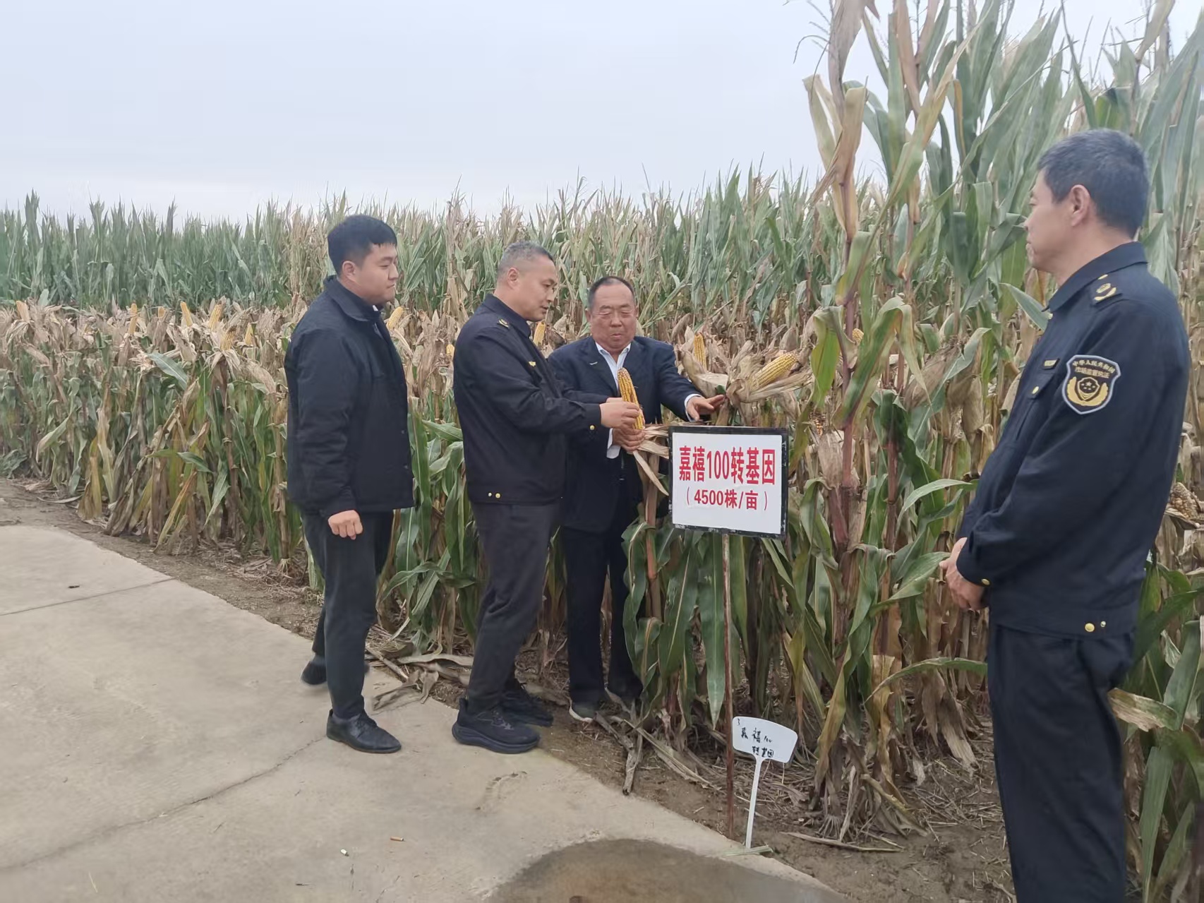 1540efaa726303ef6deb0b02feb9b18b.jpg 市场监管局开展农业标准化试点现场指导.jpg