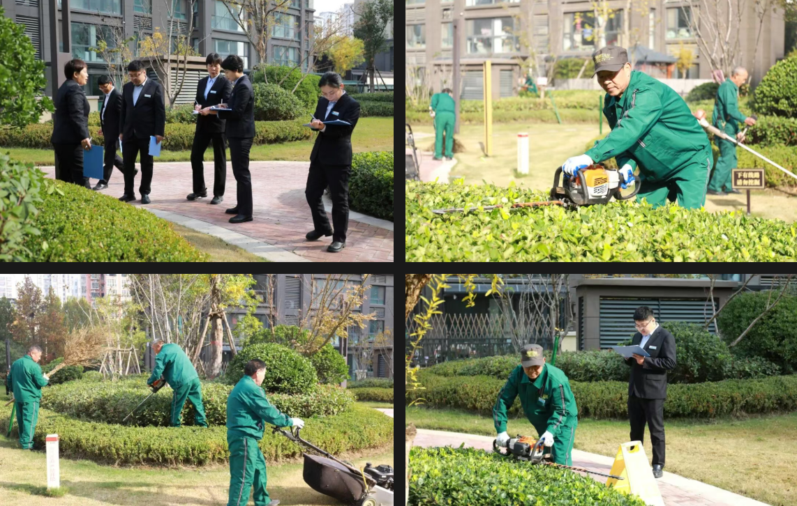 a09695cca877828632ec67df81c24e41.png 13.png