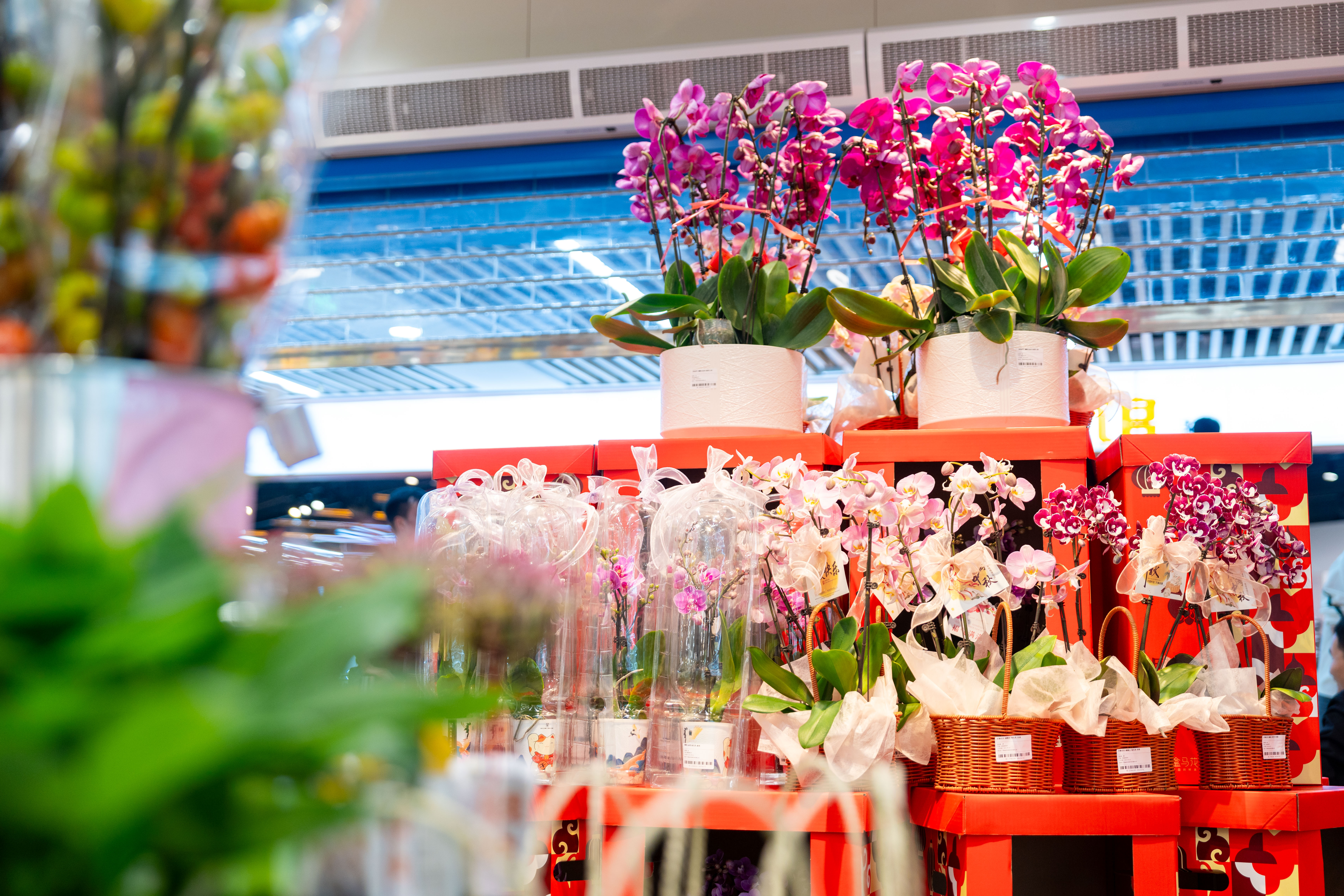 a2fae2a5125725f0651fab3789b3262c.jpg 4.jpg