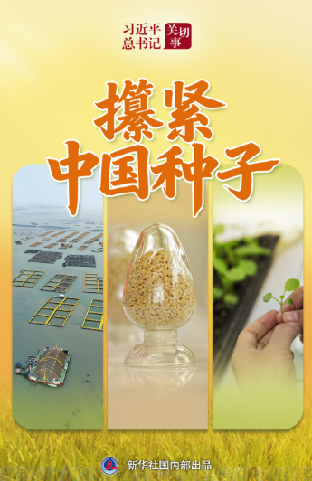 31433623637895ebaacca4d81781bdc1.png image.png