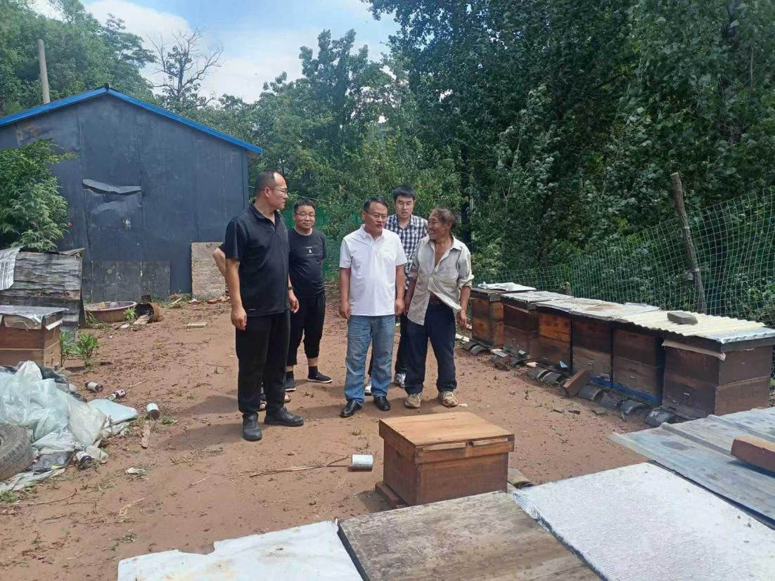 d52f95cdf82a158aa09d6191092f6007.png 2.png