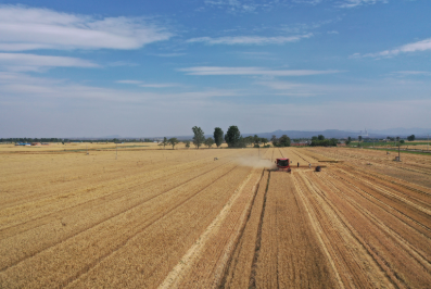 c1cb79d76ca589a347024231aafb6afe.png 3cdefc1e-7dfc-476b-a767-4ba823d739b2.png