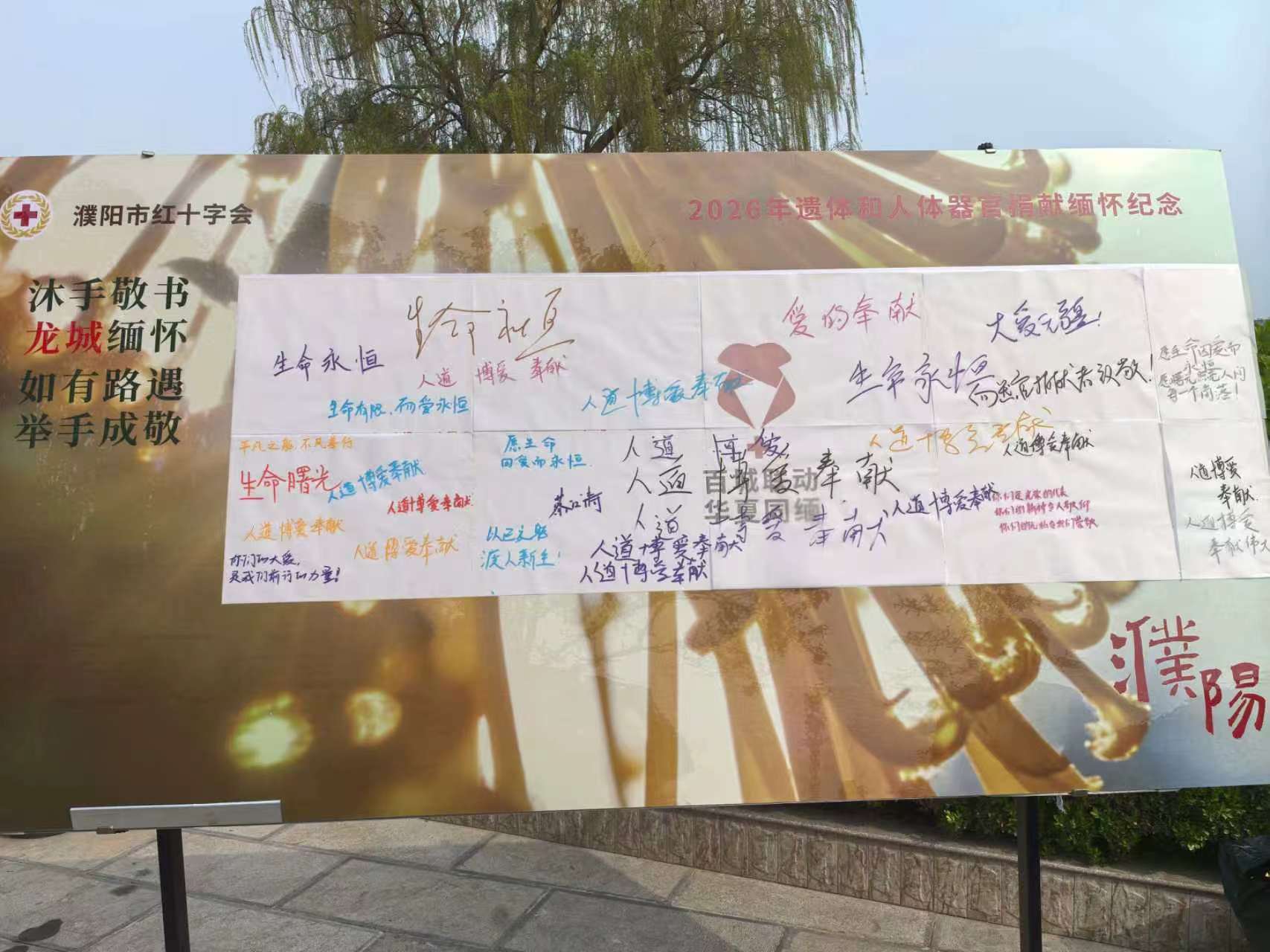 0b633518c3a44b020d3b8c3f9f5c1b13.jpg 9ea851b6cd6185527684eff23762951b.jpg