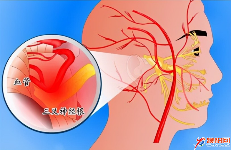 91497A25-514C-43ED-B255-3E334CD3B5D6.png