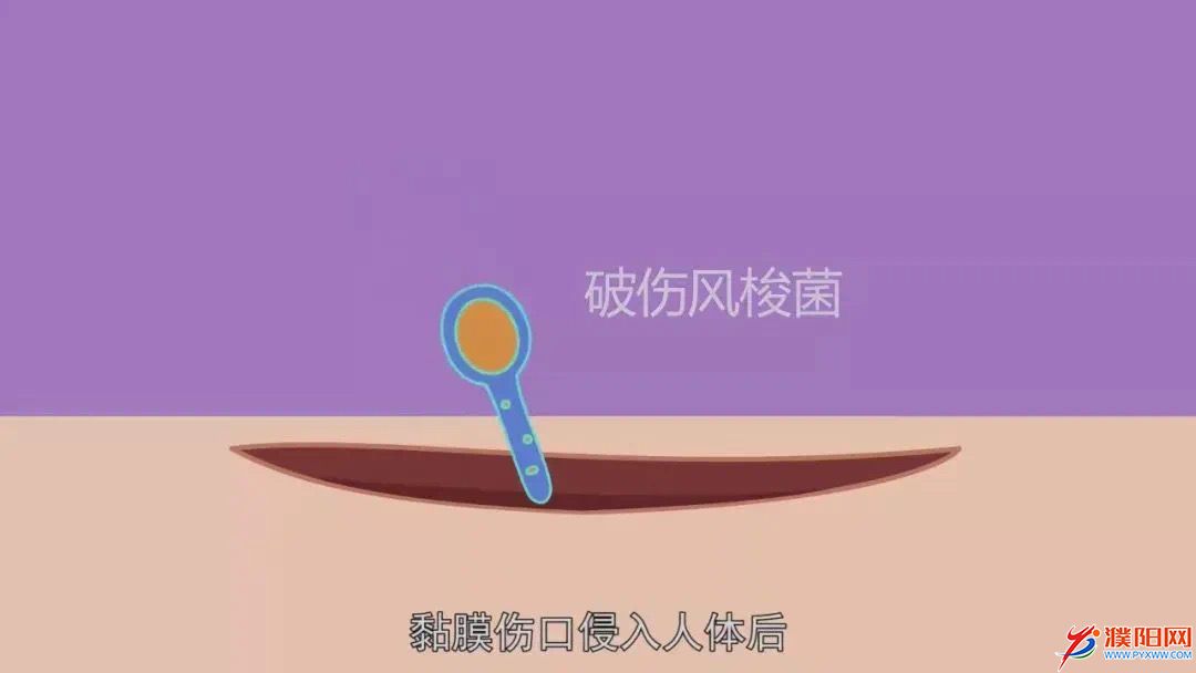 8CD3B0F9-8007-4EFF-A0BD-B9F8E10BED3A.jpeg