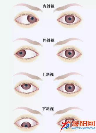 D1590D38-6B84-4061-9C8A-105A1FAA2A97.png