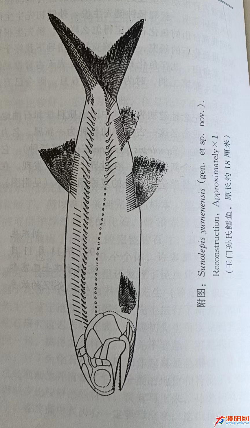 图片1.png