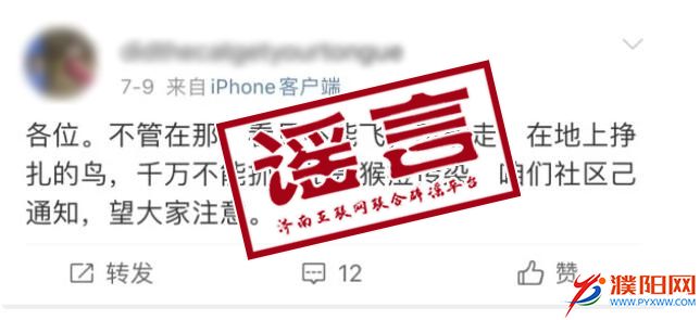 谣言2.jpg