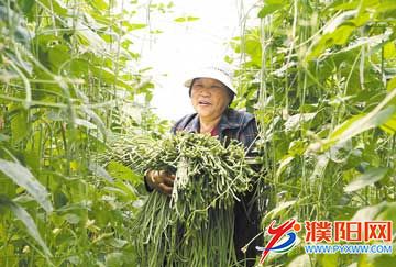 09eb2c37-9fec-4258-8b49-c2f.jpg