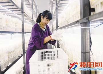 43c486a2-a435-46d4-9bd4-f56.jpg
