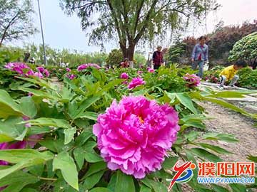 微信图片_20210414165603.jpg