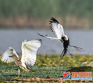 e68aebb3-b9a6-40a2-937d-5deafc82b9f5.jpg