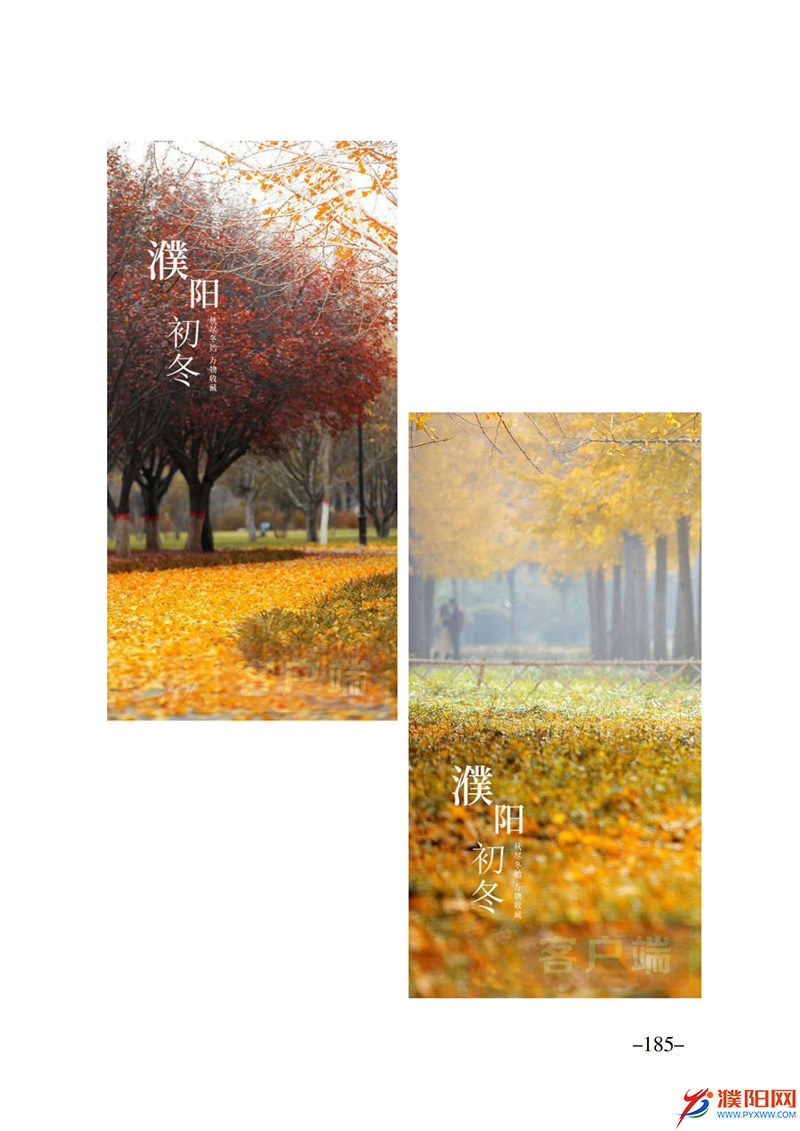上级媒体看濮阳 (第10期).FIT)_192.png
