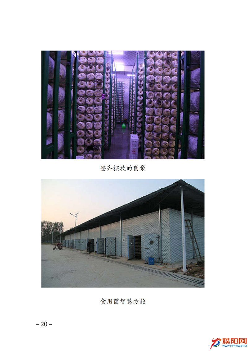 上级媒体看濮阳 (第10期).FIT)_27.png