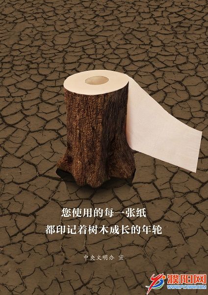 年轮.jpg