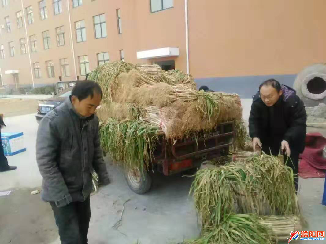 图片1.png